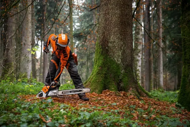 Muž s motorovou pilou Stihl v lese při práci.