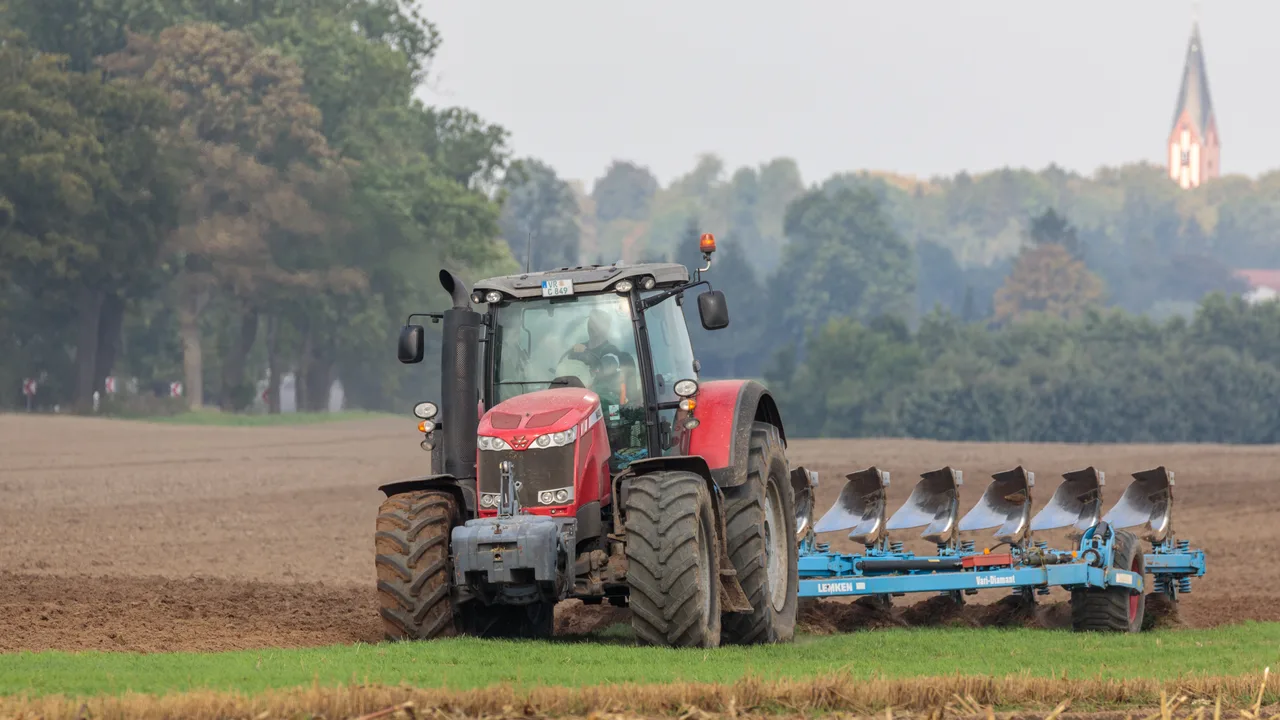 Červený traktor s modrým pluhem obrání pole na pozadí stromů.