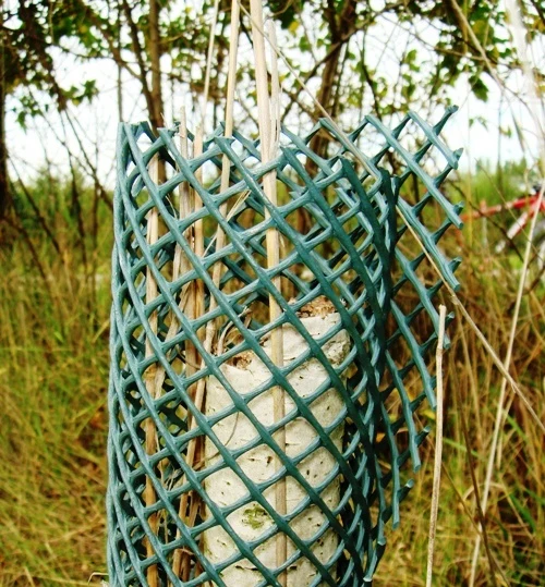 Zelené pletivové ochranné pouzdro na kmeni stromu proti hlodavcům.
