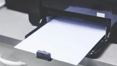 Tiskárna s vytaženým papírem na výstupním lůžku.