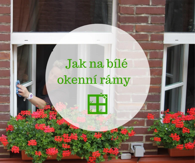 Člověk čistí bílý plastový okenní rám u květin.