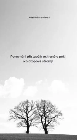 Dvě bezlisté stromy na kopci pod šedou oblohou.