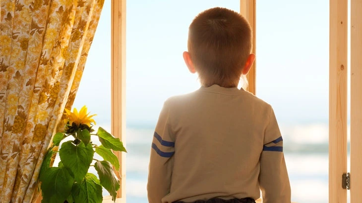 Chlapec hledí ven skrz okno s květinou na parapetu.