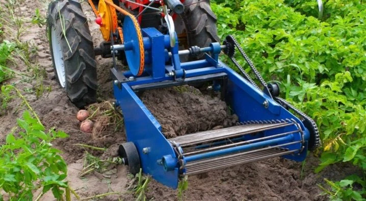 Modrý vyorávač brambor připojený k traktoru při sklizni.