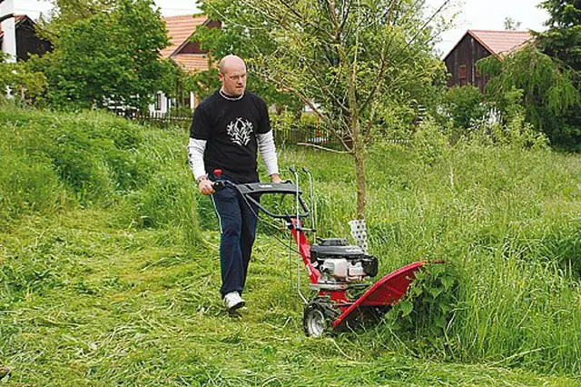 Muž používá benzínovou sekačku na trávu v zahradě.