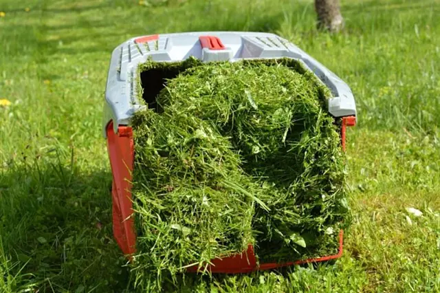 Lawn mower grass catcher full of clippings