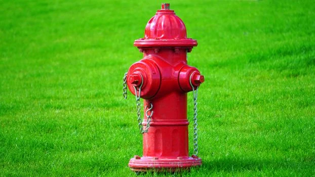Červený požární hydrant na zelené trávě.