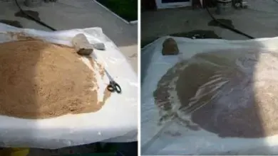Mokrý beton rozložený na plastu pro výrobu sochy vlastníma rukama